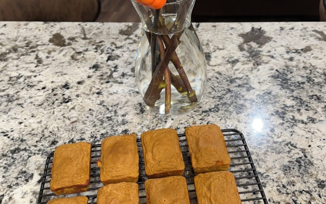 Pumpkin Protein Bars